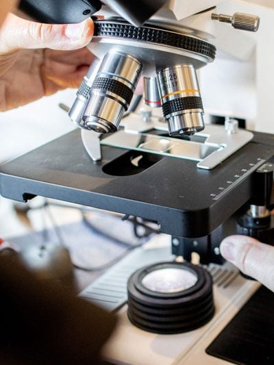 microscope